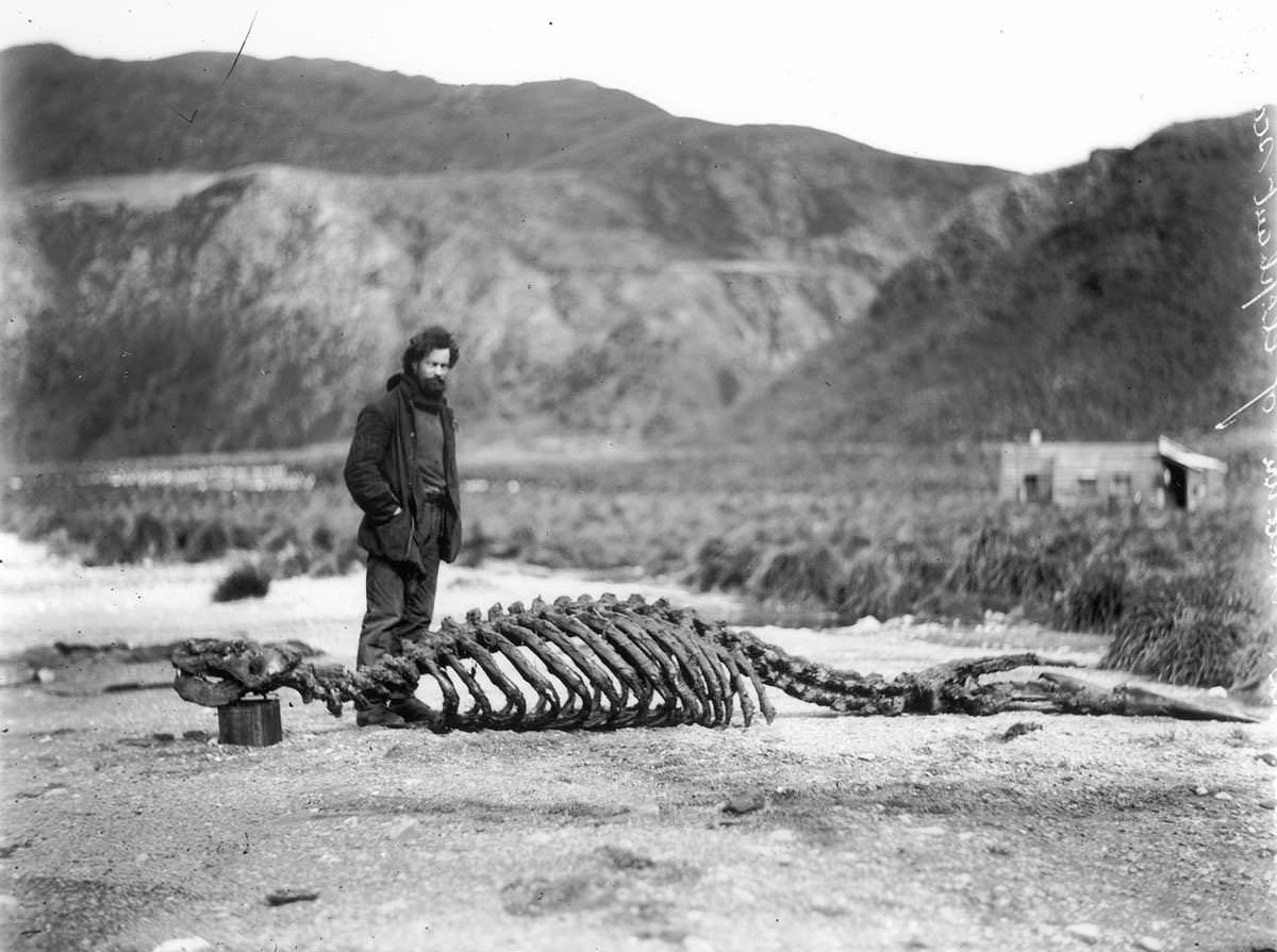 The 1911 Expedition to Antarctica: Frank Hurley's Photographic Documentation of the Australasian Antarctic Expedition