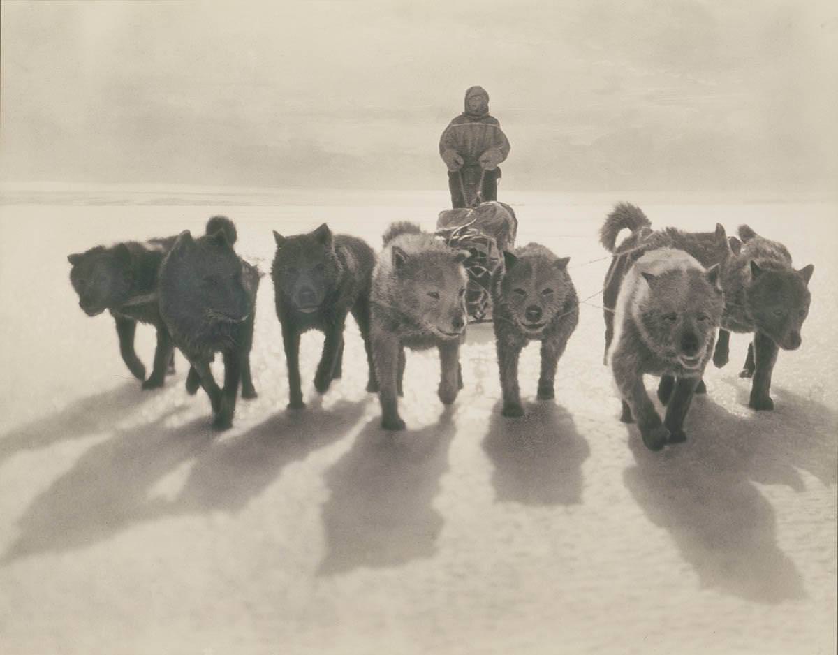 The 1911 Expedition to Antarctica: Frank Hurley's Photographic Documentation of the Australasian Antarctic Expedition