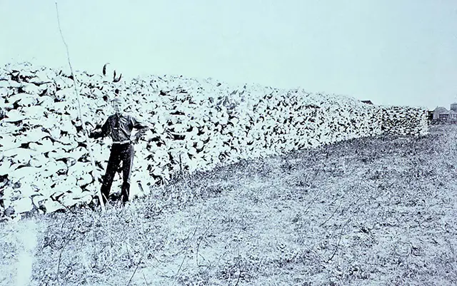 A man stands in front of a huge pile of bison skulls.