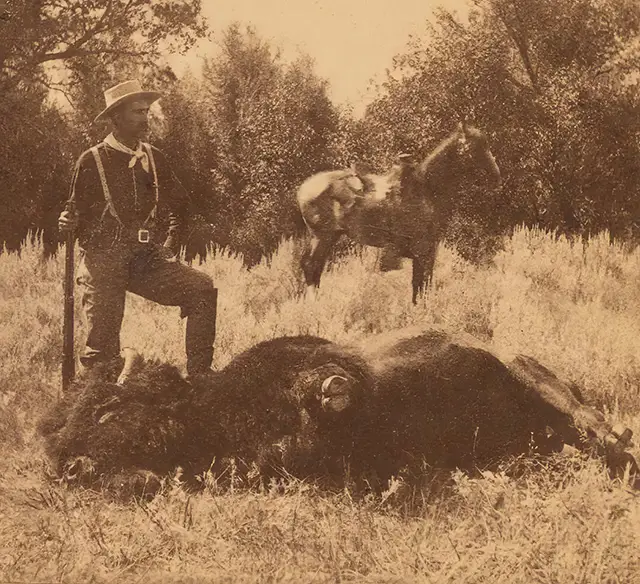 Buffalo hunting in Montana, date unspecified.