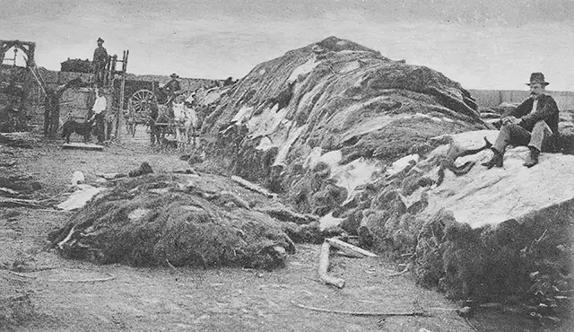 “Rath & Wright’s buffalo hide yard in 1878, showing 40,000 buffalo hides, Dodge City, Kansas.”