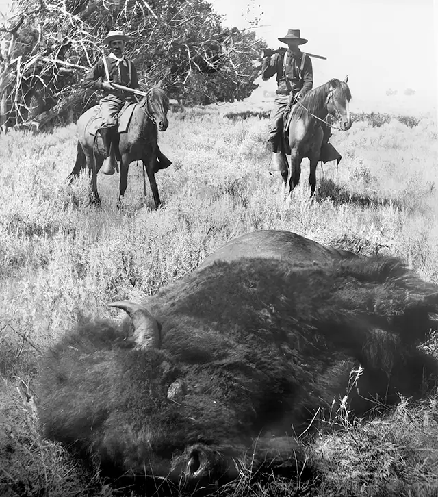 Bison hunters in Montana, 1882.