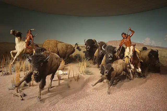 The Crow Indian Buffalo Hunt diorama at the Milwaukee Public Museum.