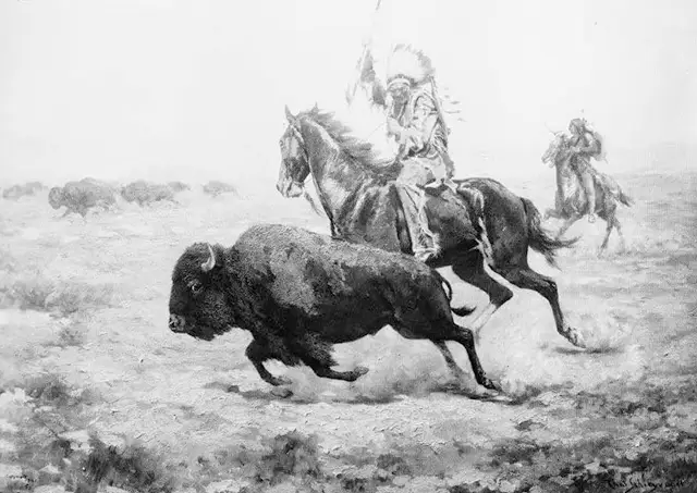 Disturbing Images of the Bison Extermination and Its Impact on Native American Culture in the 19th Century