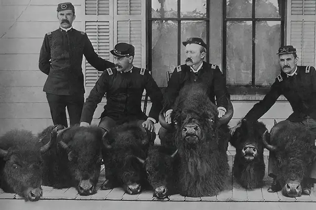 Law men pose with bison heads confiscated by poachers. Date unknown.