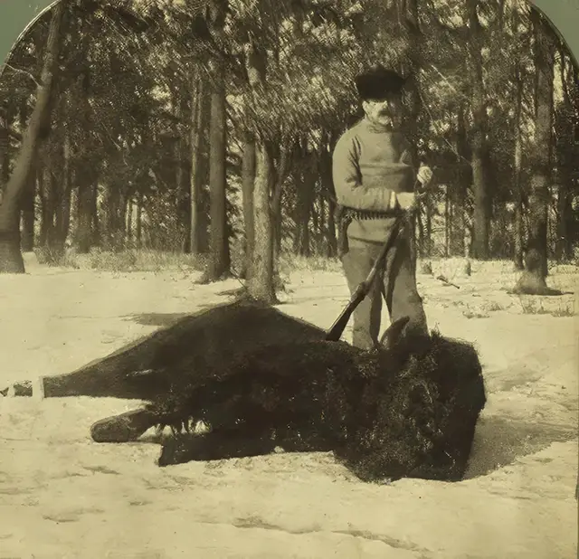 Buffalo hunting, Yellowstone Park, from Robert N. Dennis collection of stereoscopic views, 1900s.