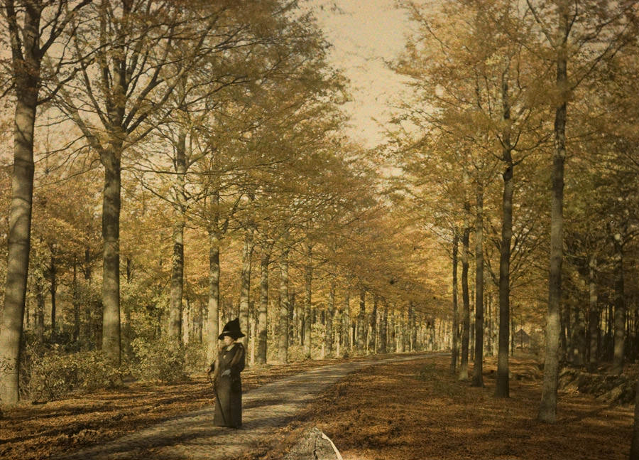 Lady in park avenue, 1910