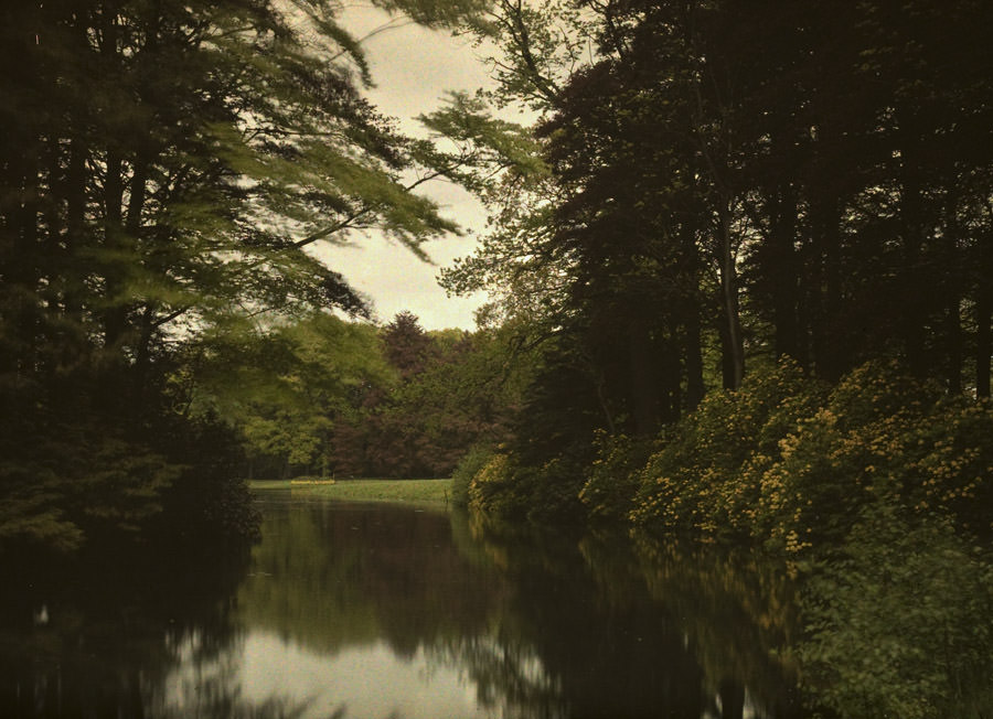 View of pond trees, 1910