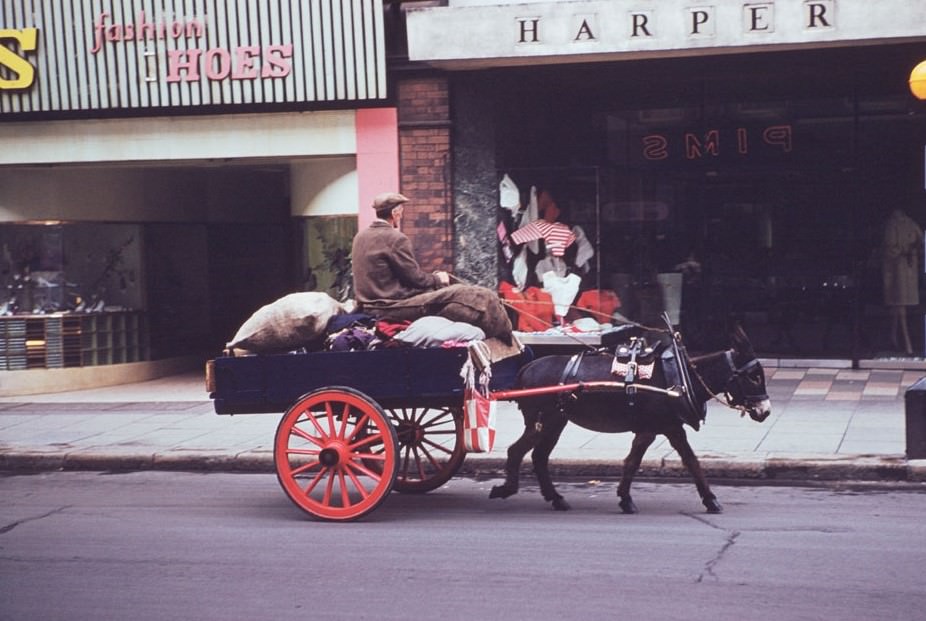 Cart in south Great Georges St.