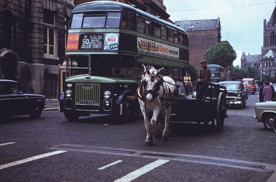 One-horse dray in Dame St. Dark afternoon