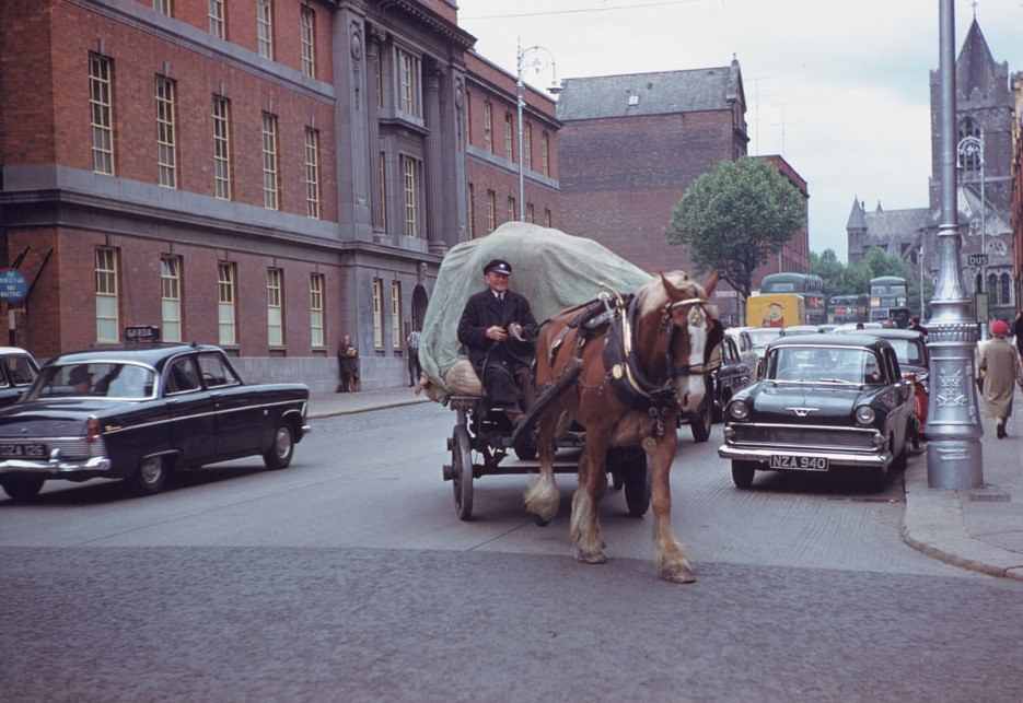 Dray horse Dame St. ,Dublin