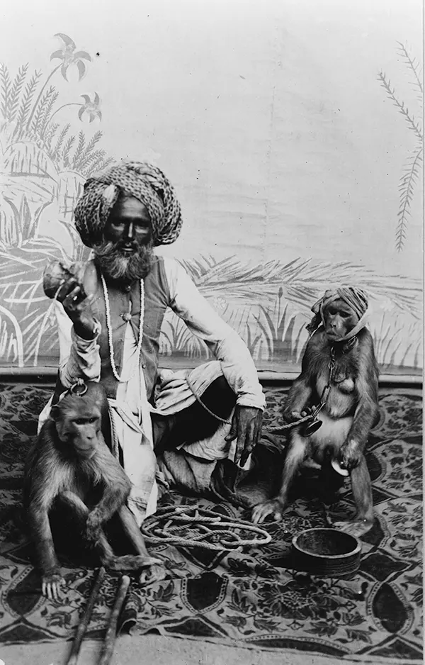 Fakir with monkeys, 1890-1920, India.