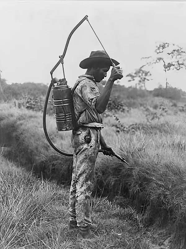 Spraying oil on breeding places of mosquitoes, 1890-1925. Panama.