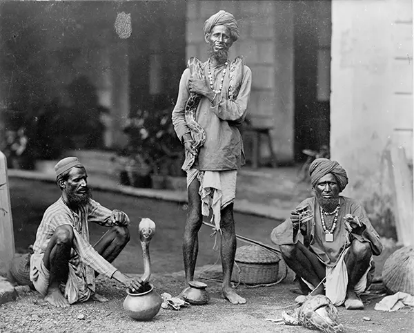 Snake charmers in India, 1890-1900.