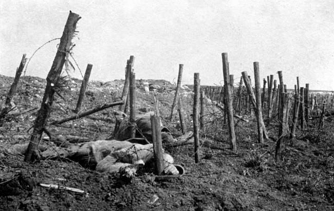 German soldiers lie dead in barbed wire, 1915.