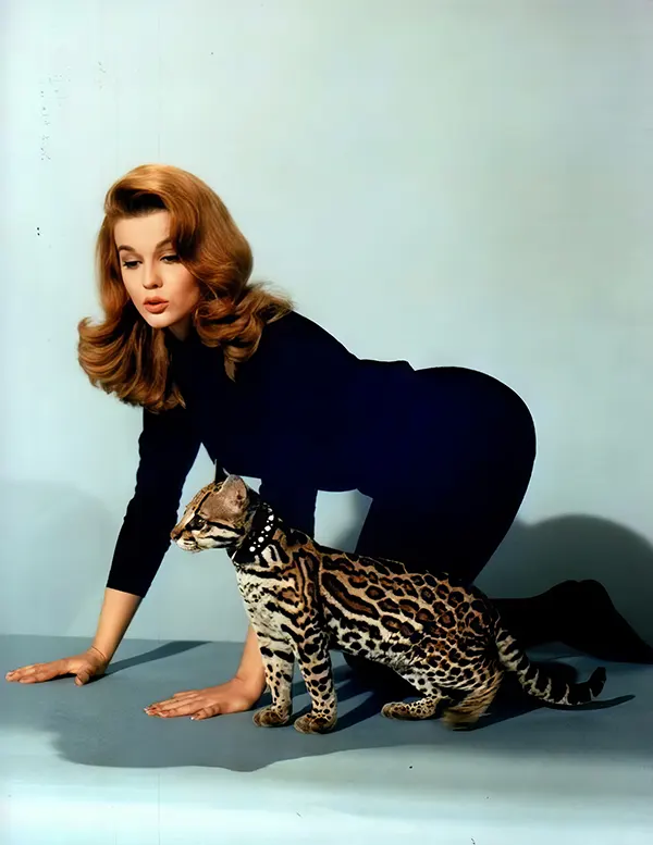 Ann Margaret poses with a baby leopard, 1960s.