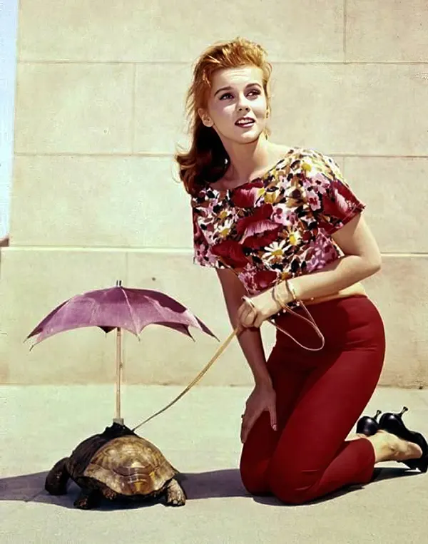 The amazing Ann-Margret in Bye Bye Birdie, 1963