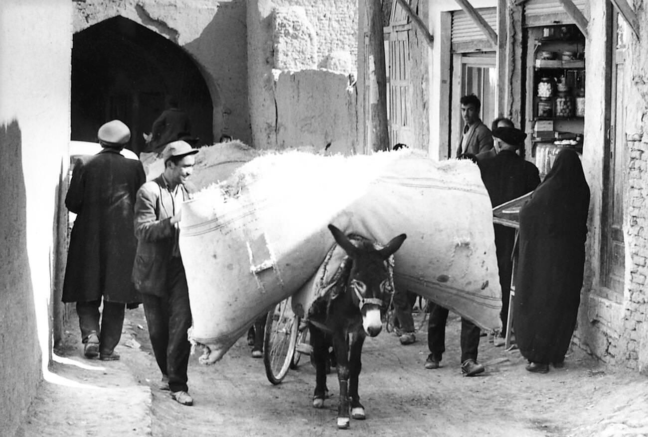 A donkey in an old street, Isfahan, Iran, 1960s.