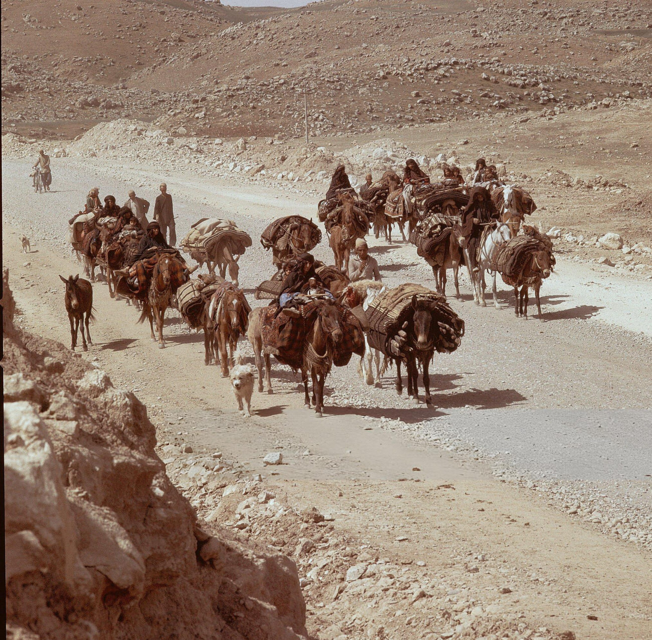 A small group of nomads traveling with horses loaded with equipment on the long dirt road from Chatt-el-Arabe towards the high plateau of Sultanabad, Iran, 1960s.