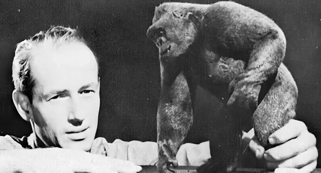 King Kong 1933: Stunning Behind-the-Scenes from the Making of Classic Horror