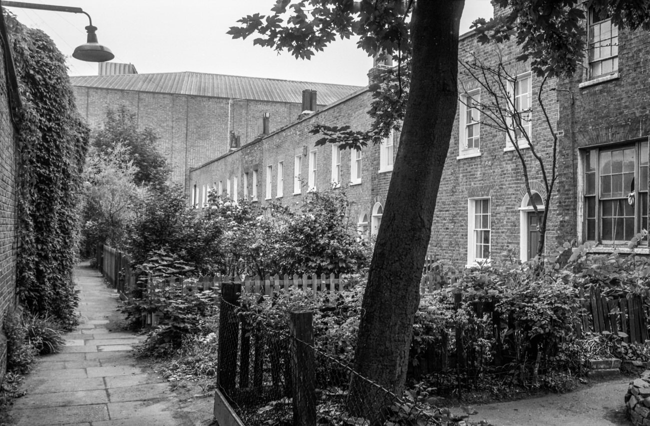 London's Cinemas in the 1980s through the Lens of Peter Marshall