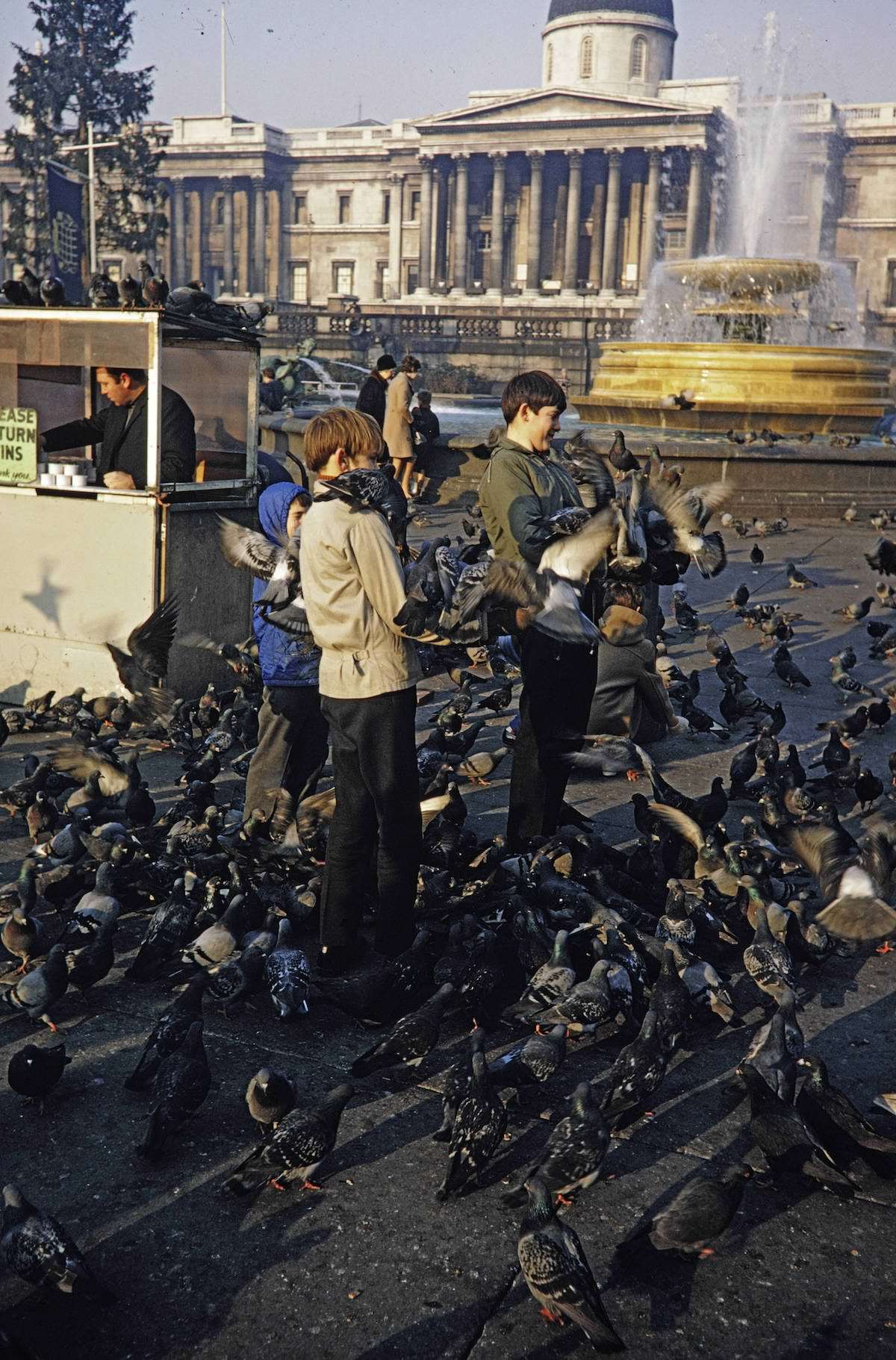 When Pigeons Took Flight: Vintage Photos Capture the Magic of Feeding Birds on Trafalgar Square in 1967