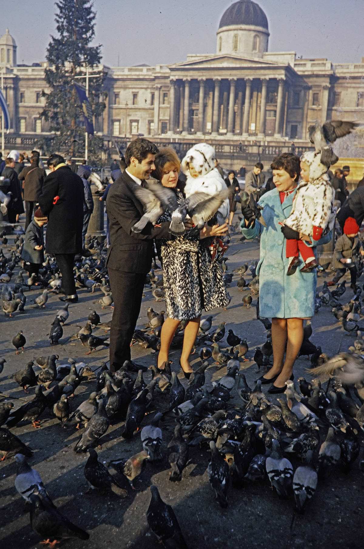 When Pigeons Took Flight: Vintage Photos Capture the Magic of Feeding Birds on Trafalgar Square in 1967