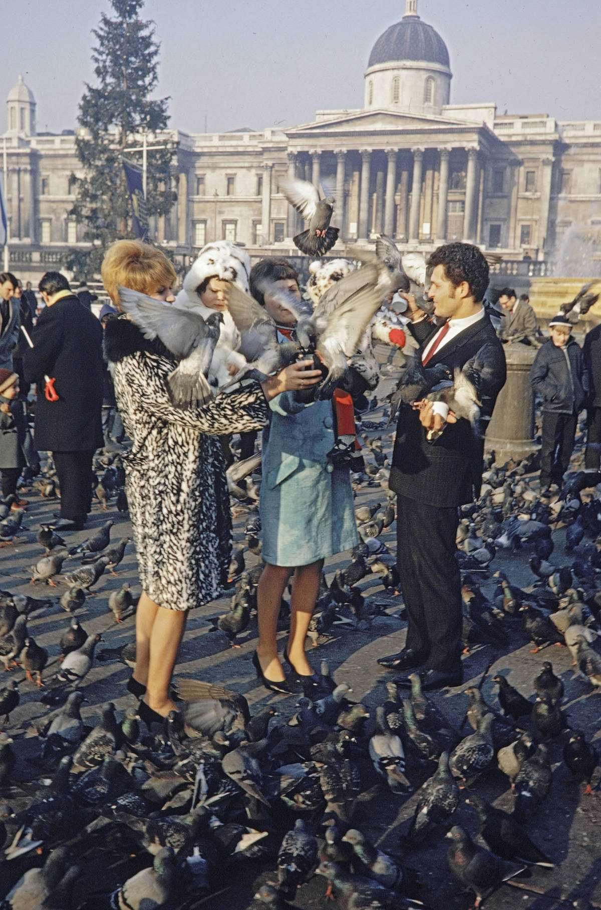 When Pigeons Took Flight: Vintage Photos Capture the Magic of Feeding Birds on Trafalgar Square in 1967