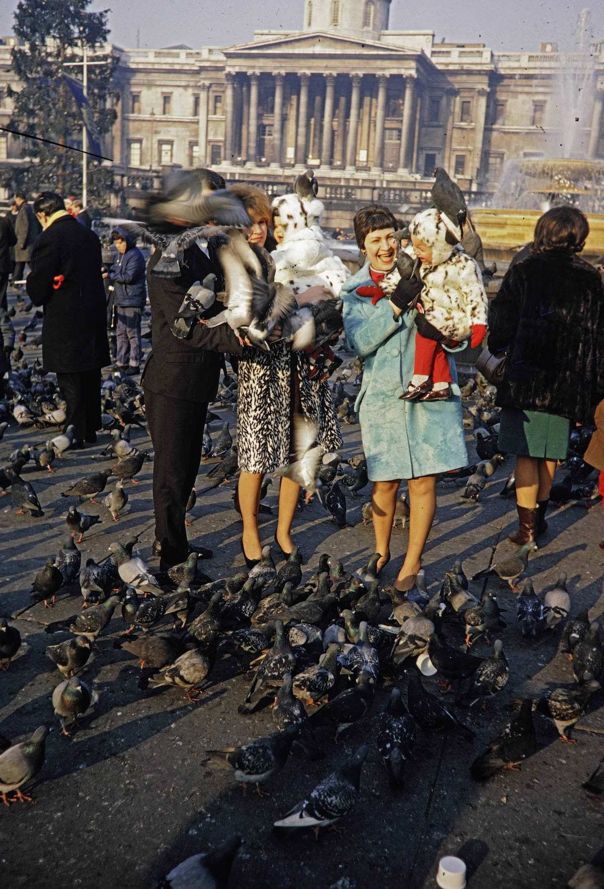 When Pigeons Took Flight: Vintage Photos Capture the Magic of Feeding Birds on Trafalgar Square in 1967