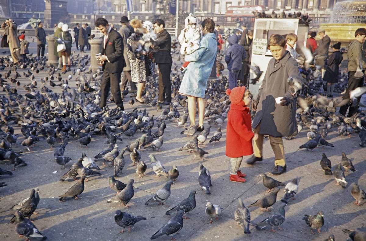 When Pigeons Took Flight: Vintage Photos Capture the Magic of Feeding Birds on Trafalgar Square in 1967