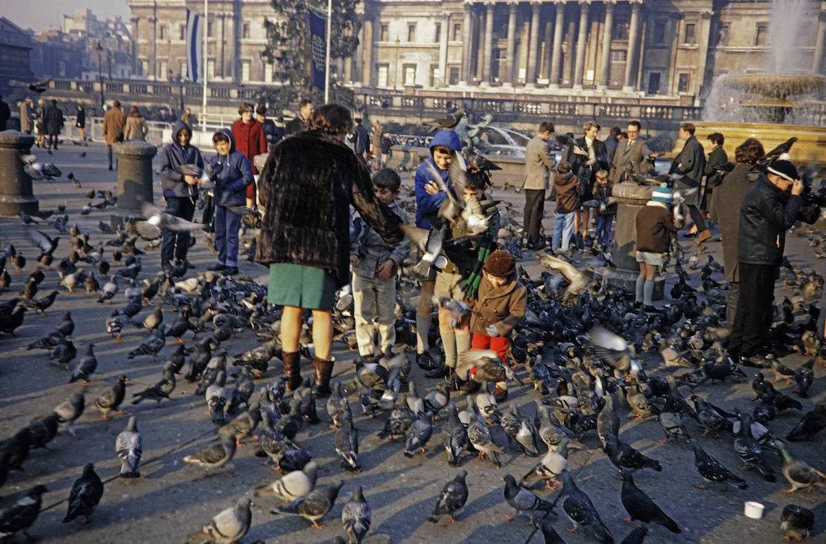 When Pigeons Took Flight: Vintage Photos Capture the Magic of Feeding Birds on Trafalgar Square in 1967