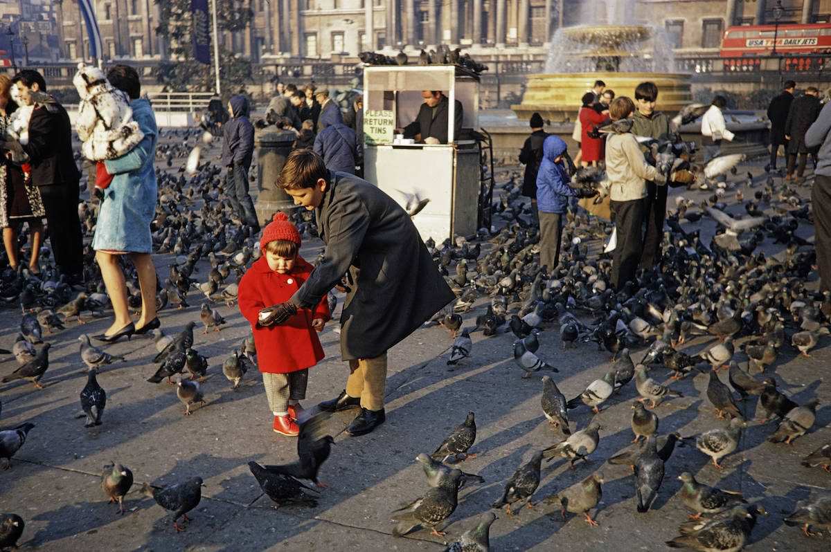 When Pigeons Took Flight: Vintage Photos Capture the Magic of Feeding Birds on Trafalgar Square in 1967