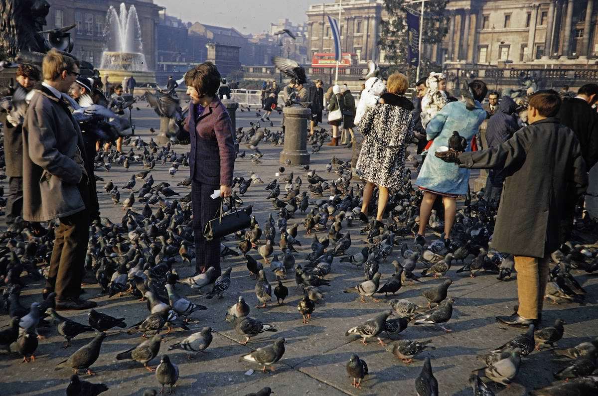 When Pigeons Took Flight: Vintage Photos Capture the Magic of Feeding Birds on Trafalgar Square in 1967