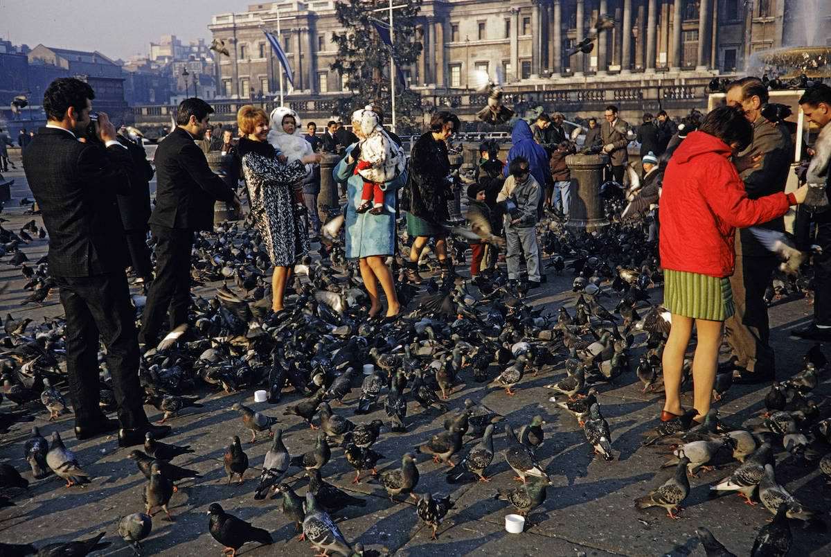 When Pigeons Took Flight: Vintage Photos Capture the Magic of Feeding Birds on Trafalgar Square in 1967