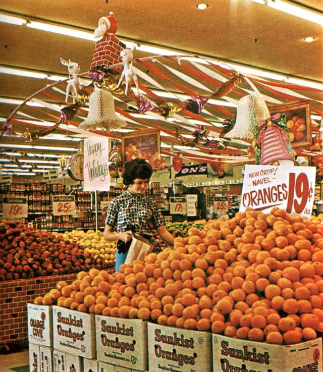 Picking out oranges, 1962.