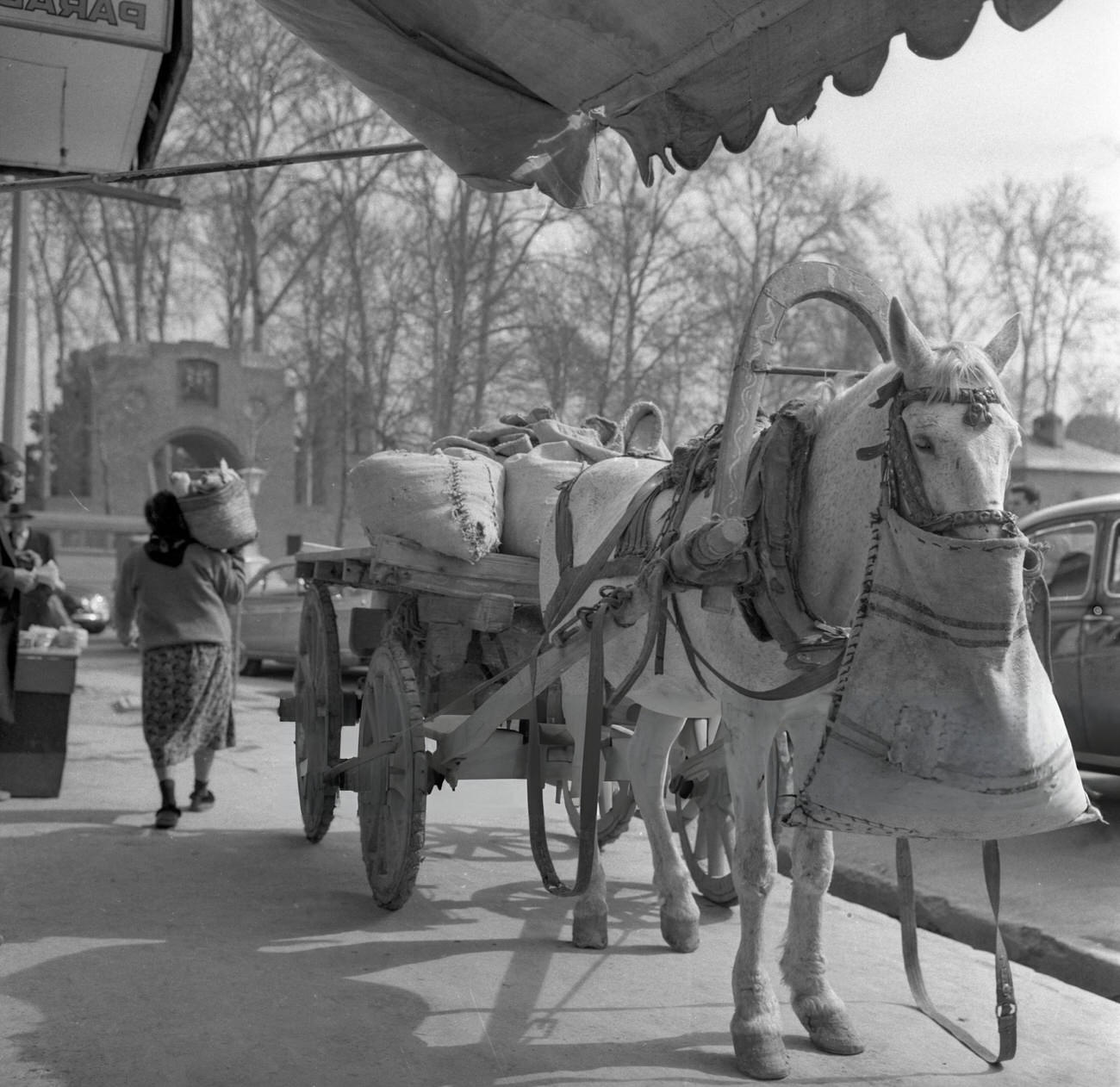 A horse-drawn cart on a street in Tehran, 1964.