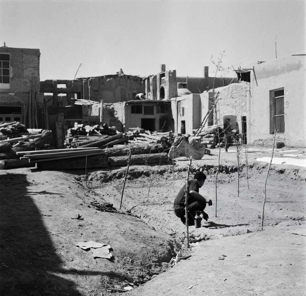 A man plants trees in a street of Tehran, 1968.