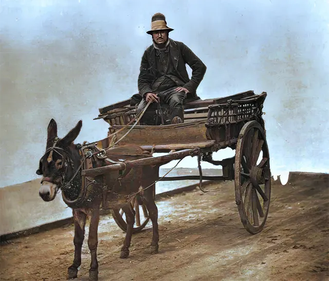 A coster uses a donkey to get around, 1890s.