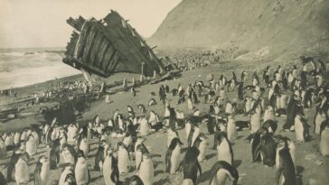 Antarctica Expedition 1911 by Frank Hurley