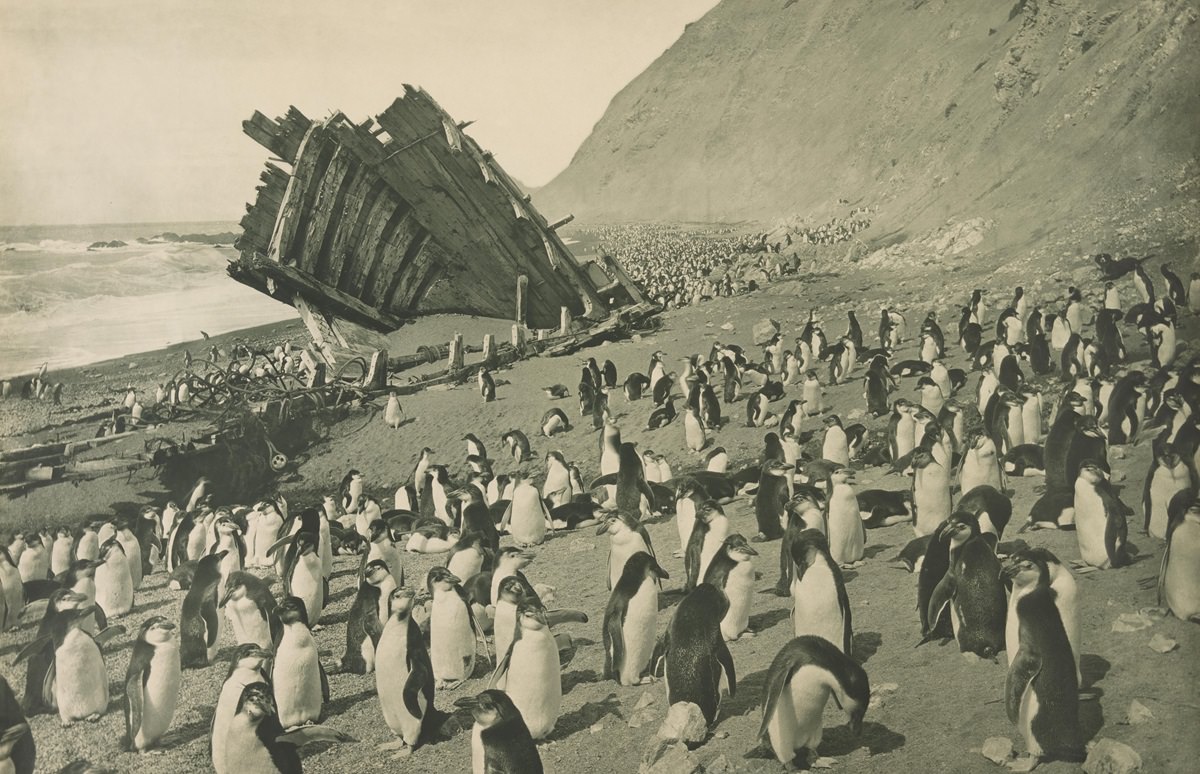 Antarctica Expedition 1911 by Frank Hurley