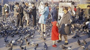 People feeding pigeons Trafalgar Square