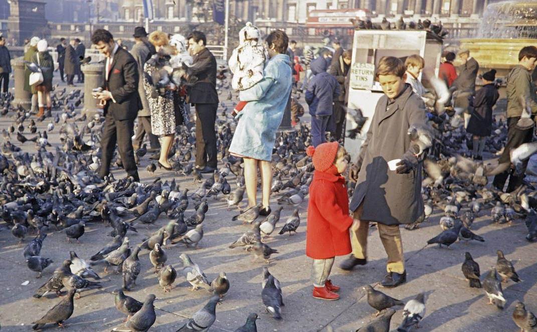 People feeding pigeons Trafalgar Square