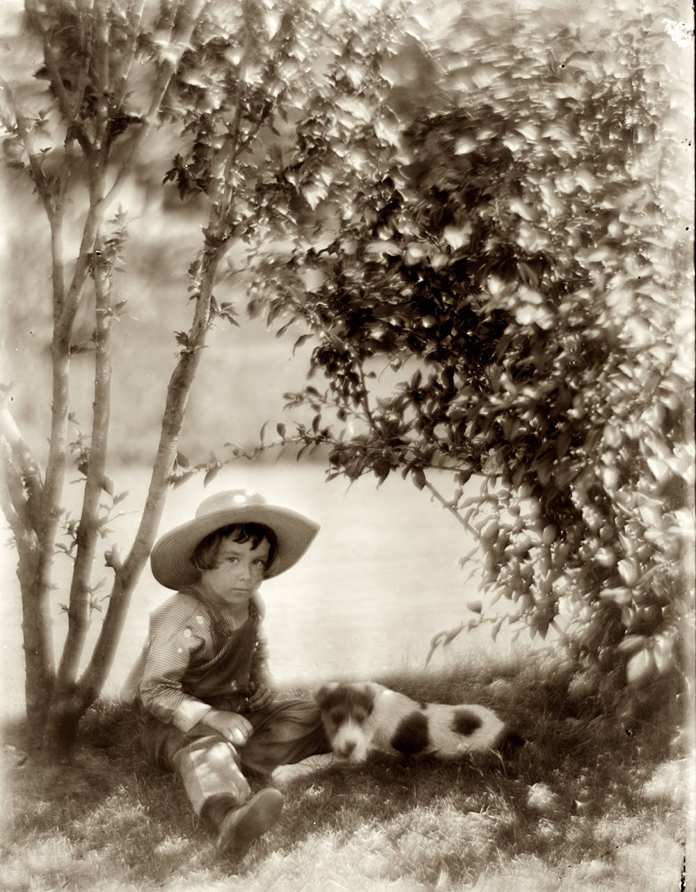 Innocence Lost: Vintage Photographs of America's Children in the Early 1900s