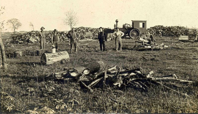 Buzzing firewood