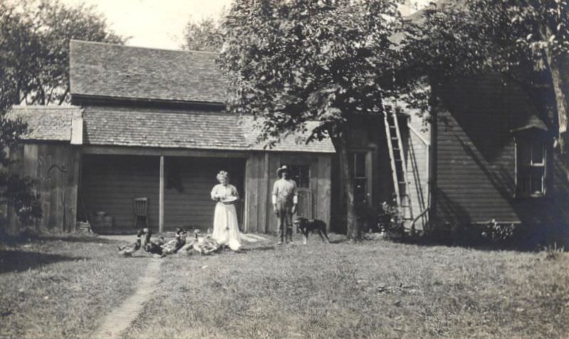 Feeding the ducks at home, possibly in Goderich or Blyth area of Huron County, Ontario,