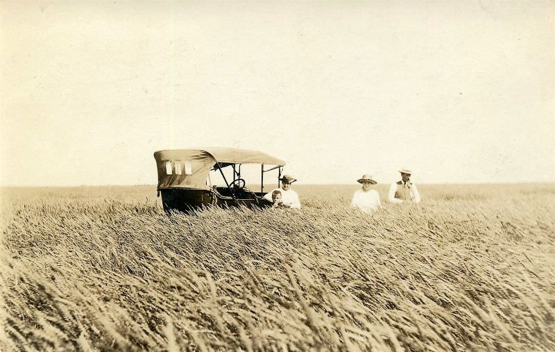 Through a sea of grain