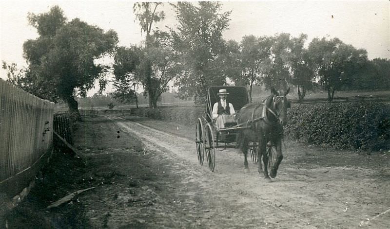 Horse and buggy days