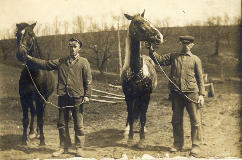 Horses and men, probably father and son