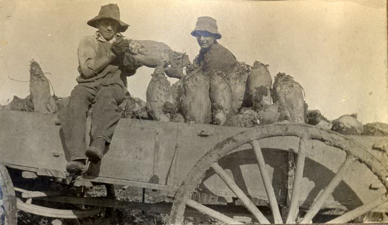 Two Canadian men after harvesting, Culloden, Ontario