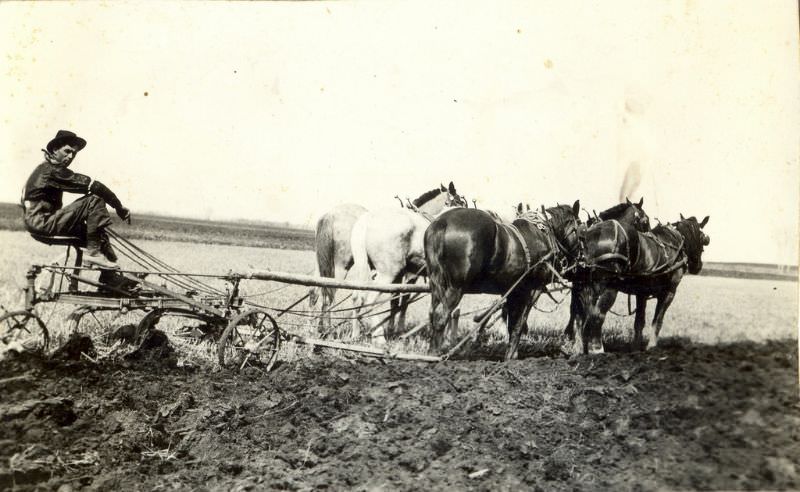 The plow jockey